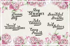 Ardina Script - Free Font of The Week Product Image 2