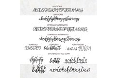 Web Font Thastsia Script Product Image 8