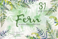 Fern Watercolor png Product Image 1