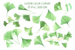 Watercolor Clipart Ginkgo Biloba Green and Gold Product Image 2