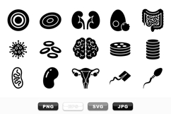 Vector Human Organs Icon Set For Medical Use Product Image 1