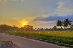 evening sunsets in beautiful rays Product Image 1