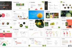 Monduras - Nature Powerpoint Template Product Image 2