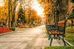 Empty wooden benches and picturesque autumn park Product Image 1