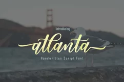 23 Font Bundle - Free Font Of The Week Product Image 11