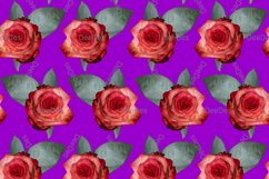 12 Seamless colorful FLOWER patterns bundle. Digital Paper Product Image 7
