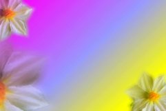 Background flower gradation for sublim or printing 25 Product Image 1