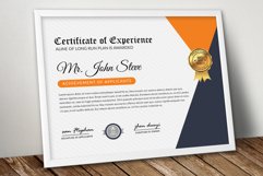 Professional Word Certificate Product Image 1