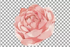 Faded orange and blush flowers and green leaves watercolor Product Image 14