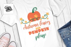 Autumn leaves and pumpkin please Product Image 1