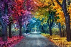 Empty path leading through trees with vibrant colored leaves Product Image 1