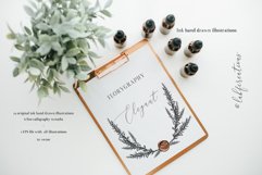 Ink calligraphy illustrations. Floral. Florigraphy Elegant. Product Image 6