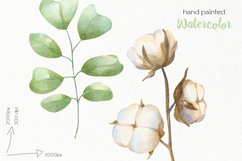 Watercolor Cotton Clipart - PNG Files Product Image 3