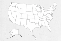 Political divisions of the US. Basis silhouettes Product Image 3