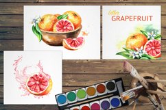 Grapefruit. Watercolor collection Product Image 4