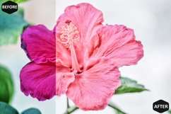 Sweet Pink Photoshop Actions And ACR Presets, Bright modern Product Image 10