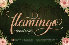Flamingo - formal script Product Image 1