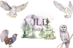 wild birds Product Image 1