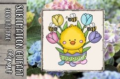Easter Chick Sublimation Clipart Product Image 1