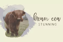 Farmhouse Country Rustic Cursive Font - Free Font of The Week Product Image 5