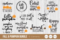 Fall &amp; Pumpkin Bundle SVG Cut Files Product Image 1