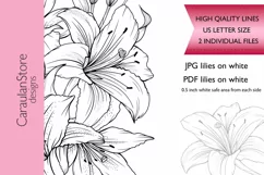 Floral Coloring Book Page, Lilies Coloring Page, JPG, PDF Product Image 3