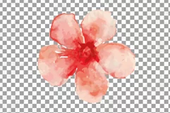 Burgundy and coral pink watercolor floral wedding clip art, Product Image 8