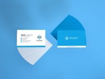 Business Card Mockup Template Bundle Vol 4 Product Image 2