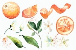 Watercolor Oranges Clipart + Wreath Product Image 3