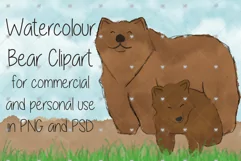 Watercolour, Bear, Animal, Animal Family, Brown bear, Bears, Product Image 3