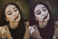 14 Drama Lightroom Presets Product Image 4