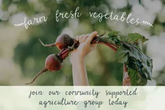 Parsnips Rustic Handwritten Script - Free Font Of The Week Product Image 8