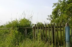 SET beautiful old gate from abandoned house in village Product Image 2