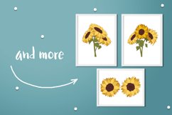 Sunflowers Product Image 6