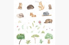 Australian animals clipart. Watercolor mother and baby. Product Image 7