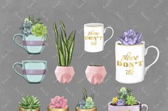 Succulent Plants - Clipart Product Image 3