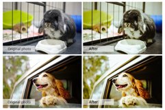 20 Lovely Pets Presets,Photoshop actions,LUTS,VSCO Product Image 5