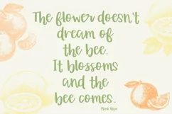 Orange Grove Script - Free Font of The Week Product Image 2