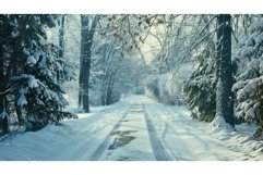 winter snowy driveway Product Image 1
