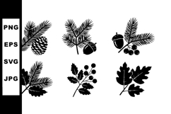 Pine cones pine branches acorns and oak leaves seasonal natu Product Image 1