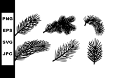Pine tree branches vector set with detailed black silhouette Product Image 1
