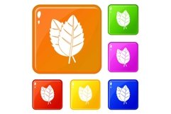 Two basil leaves icons set vector color Product Image 1