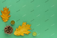 Forest cosy flat lay composition. Frame from bump, bark Product Image 1