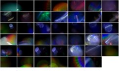 90 Night Light Leak Effect Overlays, Product Image 7