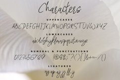Web Font Hey Dory Typeface Product Image 6