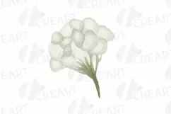 Cotton bolls and fir branch leafy autumn and winter decor Product Image 14