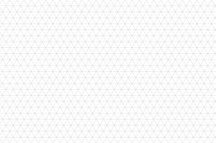 Ornamental seamless patterns. Product Image 11