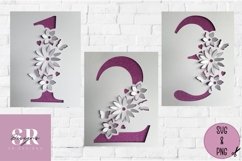 3D flower number bundle| Paper cutting | 3d number SVG Product Image 3