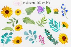 Hand painted sunflower clipart, watercolor spring florals Product Image 3