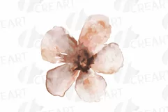 Faded orange and blush flowers and green leaves watercolor Product Image 5